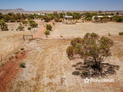 7 Lincoln Street, Deepdale WA 6532