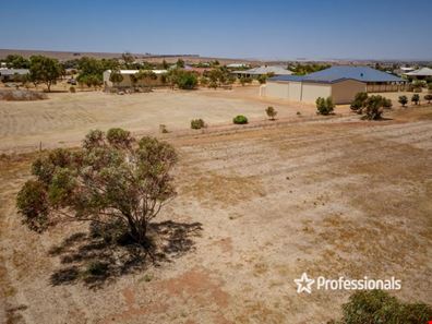 7 Lincoln Street, Deepdale WA 6532