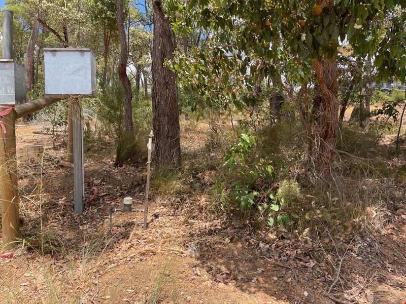 28 Struthers Street, Nannup WA 6275