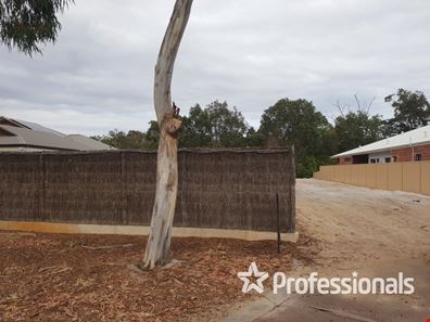 8 Denison Link, Millbridge WA 6232