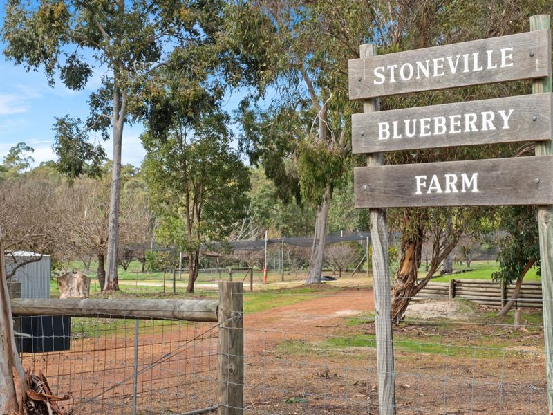 240 Blue Wren Place, Stoneville WA 6081