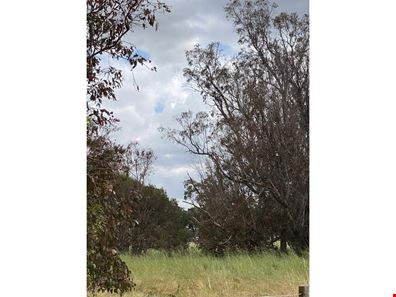 Lot 24 Hackett Rd, Cookernup WA 6219