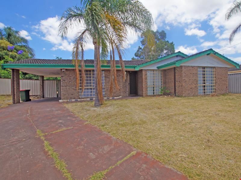 10 Tinsel Place, Mirrabooka WA 6061