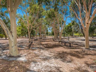 97 Ayrshire Loop, Lower Chittering WA 6084