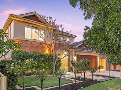 43 Jacana Circle, Gwelup WA 6018