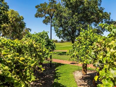 2 The Fairways, The Vines WA 6069