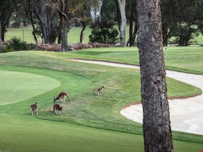 Lot 93,  Pine Valley Pass, Connolly WA 6027