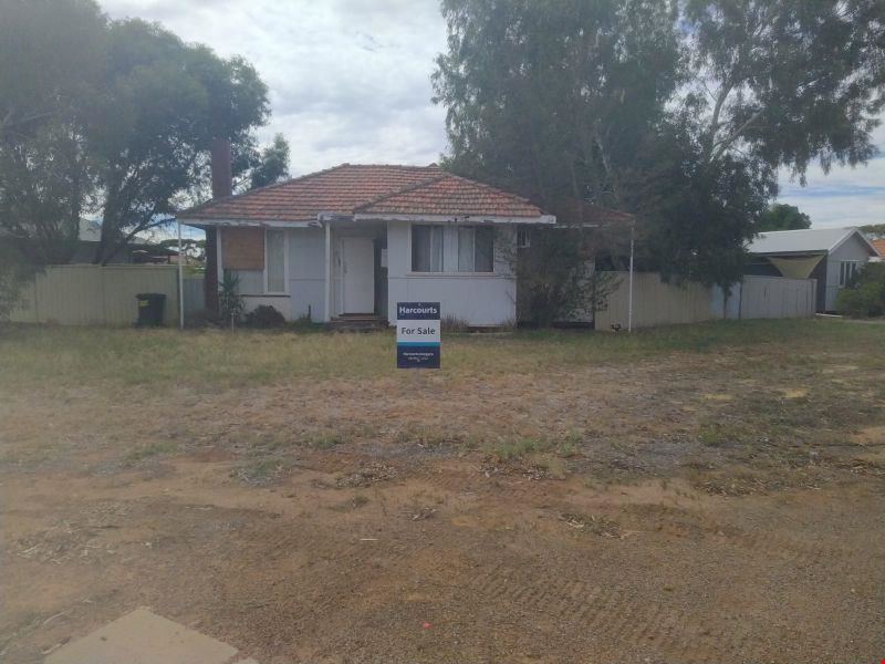 17 Williamson Street, Three Springs WA 6519