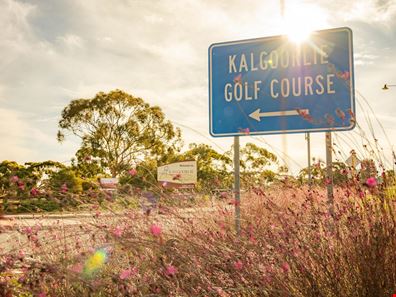 Lot 212 Pangara Way, Karlkurla WA 6430
