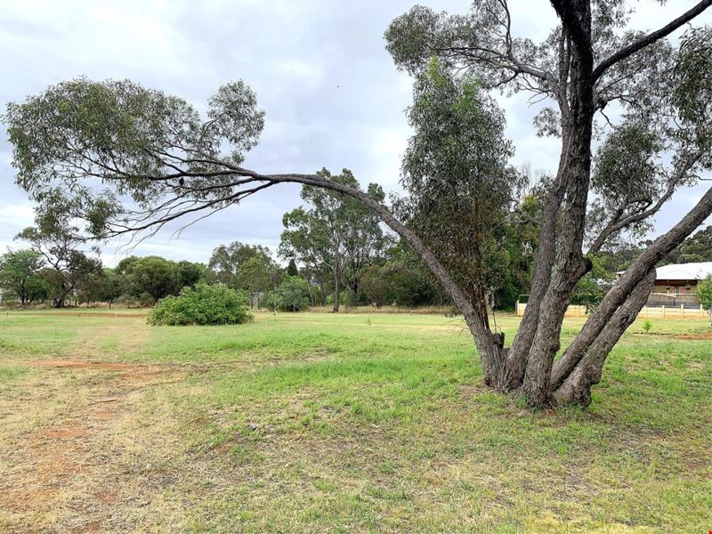 11 Jubilee Street, Toodyay WA 6566