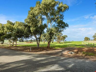 Lot 84,  Carnaby Boulevard, Ginginup WA 6503
