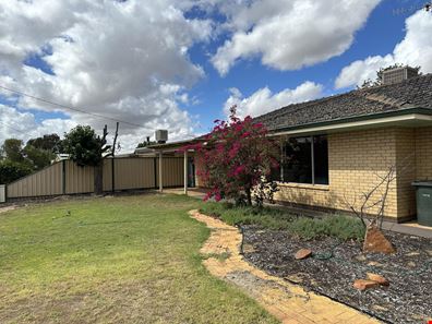35 Commercial  Street, Coorow WA 6515