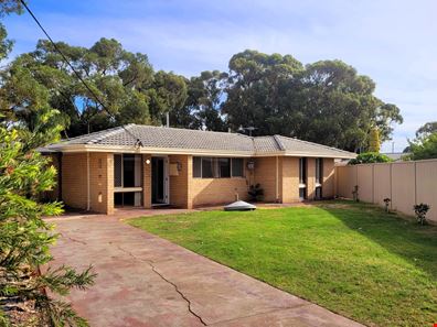 11B Tamalee Place, Hillman WA 6168