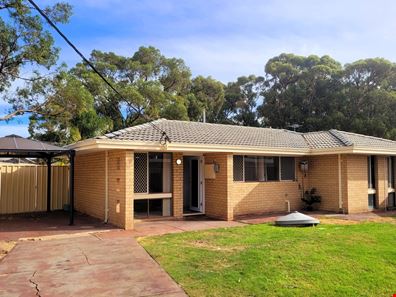 11B Tamalee Place, Hillman WA 6168