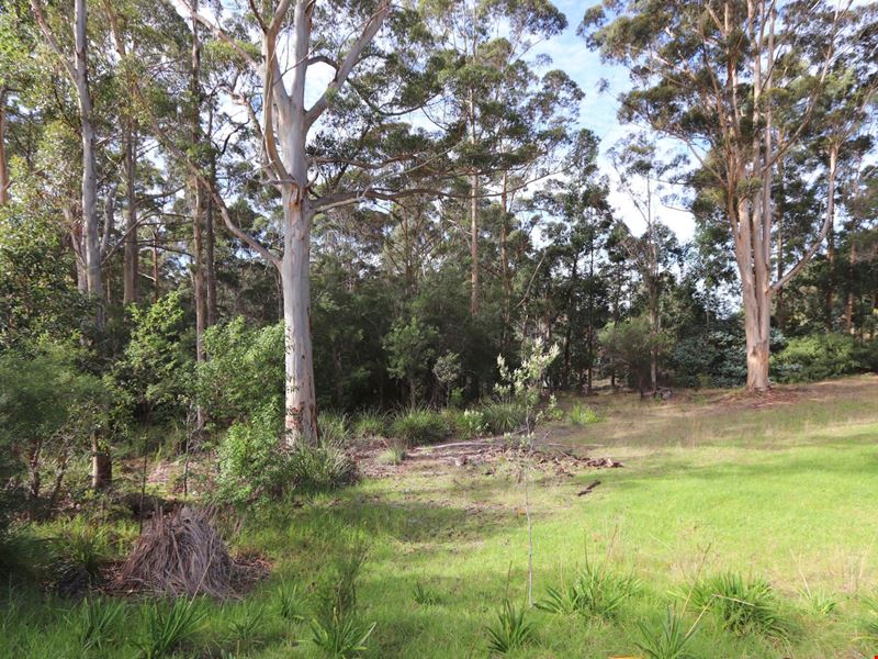28 Honey Possum, Denmark WA 6333