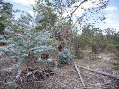 728 Duffy Road, Bambun WA 6503