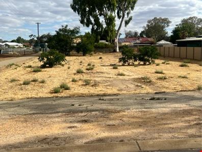 21 Growden Street, Merredin WA 6415