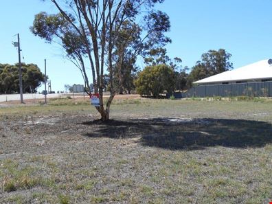 31 Marmion Street, Katanning WA 6317