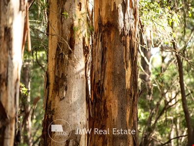 502/ Gidgee Road, Witchcliffe WA 6286