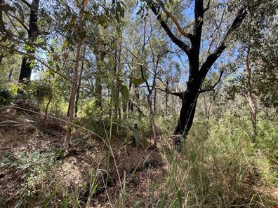 2990 Stoneville Road, Stoneville WA 6081