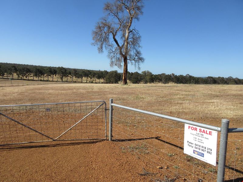 10 Sellick Drive, Wundowie WA 6560