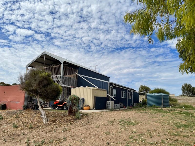 6 Illyarrie Road, Springfield WA 6525