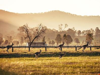 Lot 6,  Bernborough Avenue, Caversham WA 6055