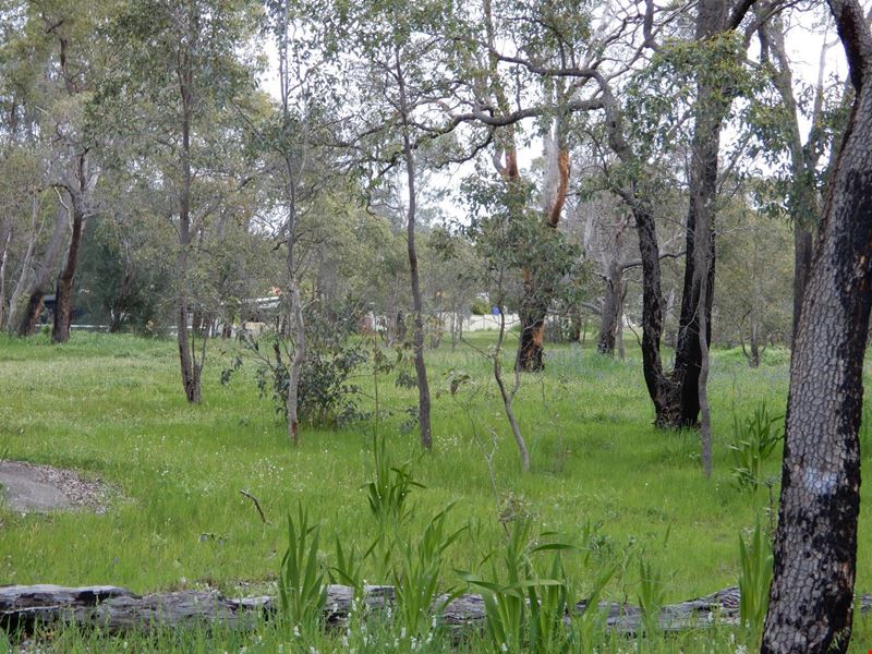 1015 Pechey Road, Swan View