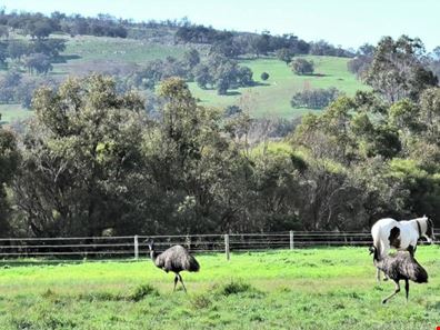 Lot 372, 244 Ellenbrook Road, Bullsbrook WA 6084
