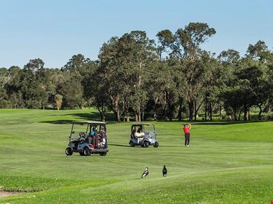 29/6 Verdelho Drive, The Vines WA 6069