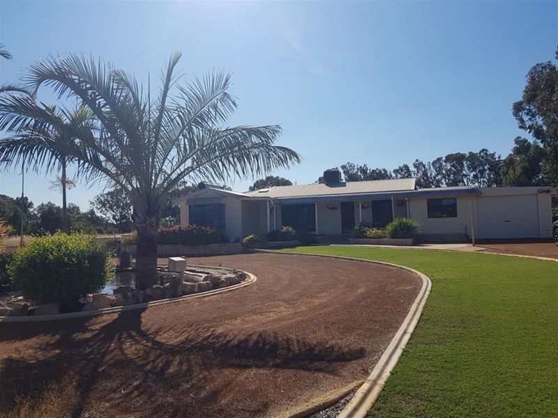48 Tulloch Dve, Dongara WA 6525