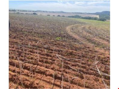 Lot 51 North West Coastal  Highway, Bowes WA 6535