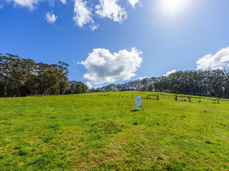 44a Hay Street, Subiaco WA 6008