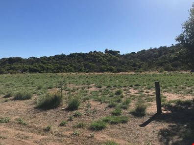 Lot 209 Brennand Road, Dongara WA 6525