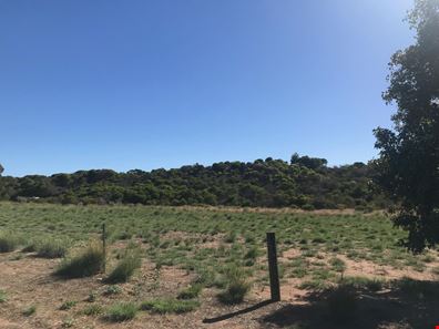 Lot 209 Brennand Road, Dongara WA 6525