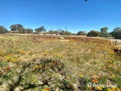 16 Powell Crescent, Quairading WA 6383