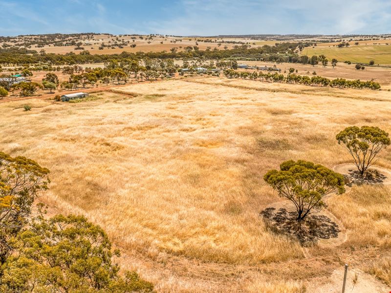 41 McKenna Close, Bejoording