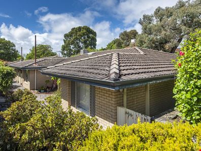 4/23 Alvan Street, Mount Lawley WA 6050
