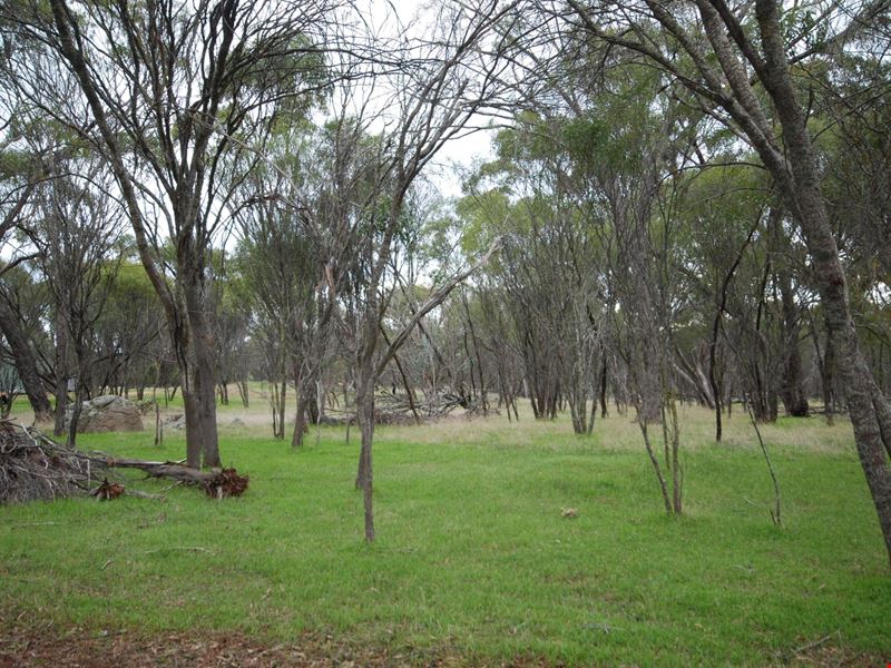 Lot 136 Brundell Street, Cuballing WA 6311