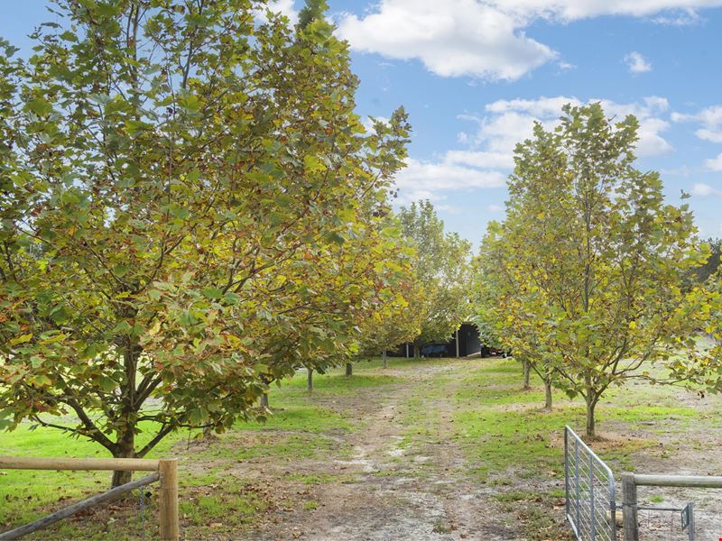 30 Shearers Close, Quedjinup WA 6281