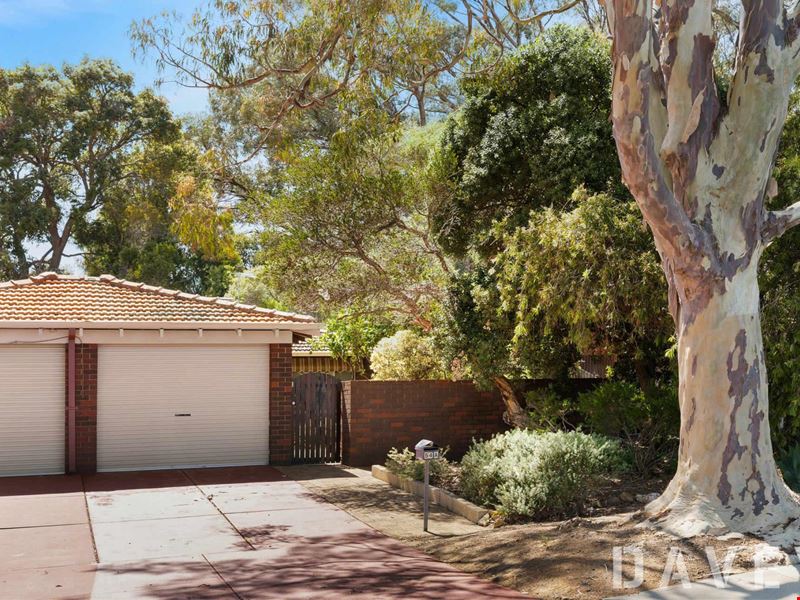 54A Tresise Street, Carine WA 6020
