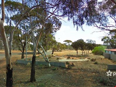 39 Brockman Street, Norseman WA 6443