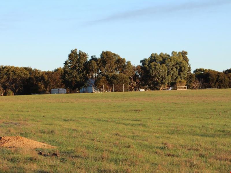 391 Chillicup Road, Broomehill Village WA 6318