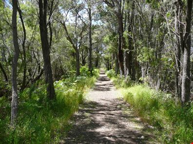 Denmark WA 6333