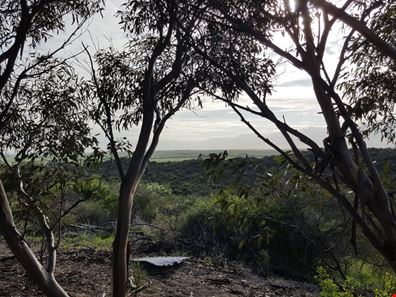 Lot 2109 Yardarino, Yardarino WA 6525