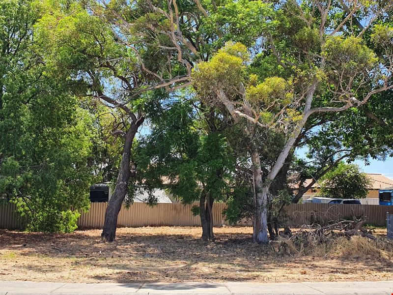 41 Moreing Street, Redcliffe WA 6104