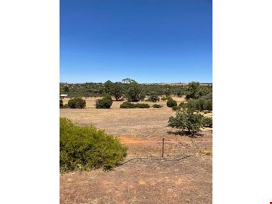 21 CARTER ROAD, York WA 6302