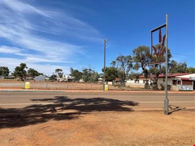 26 Fowler Street, Perenjori WA 6620