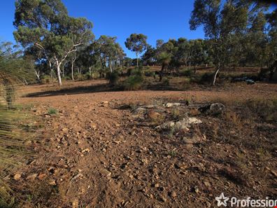 611 Swallow Lane, Chittering WA 6084