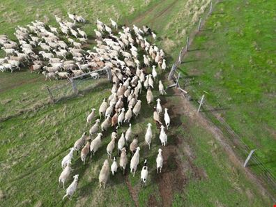 8100 Price Road, Brazier WA 6251